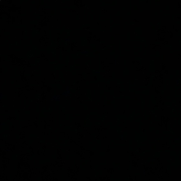 Meet your Posher, Jack - Picture 1 of 1